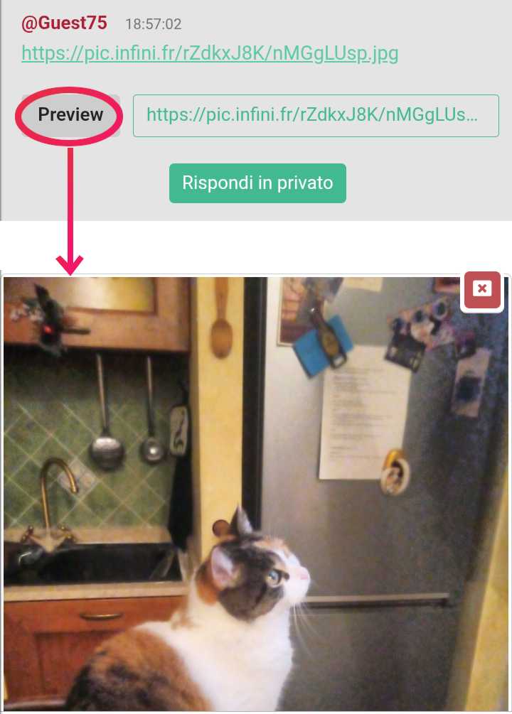 Screenshot di un link su Libera Chat con l’interfaccia per aprire l’anteprima (è evidenziato il pulsante Preview) e l’anteprima stessa
