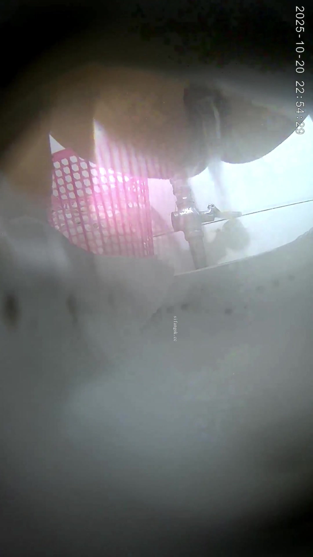 Toilet Spy — P0508(50) — screenshot 2