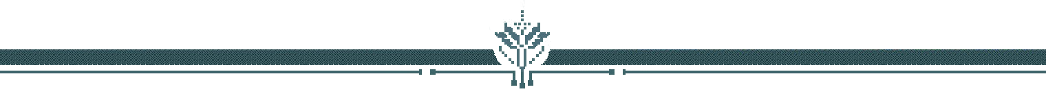 Border decor from Caves of Qud's UI.