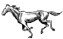 Alt Tag