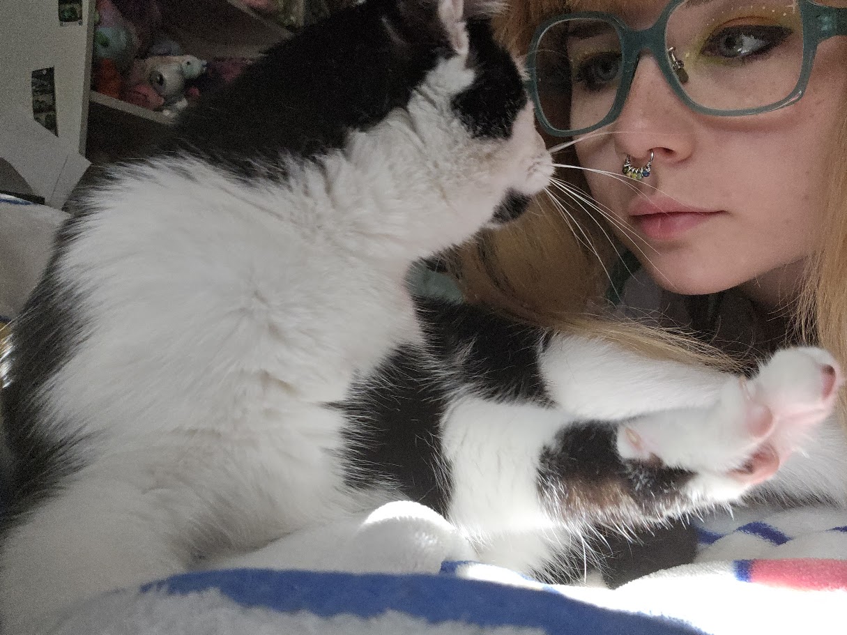 a picture of someone looking at cat