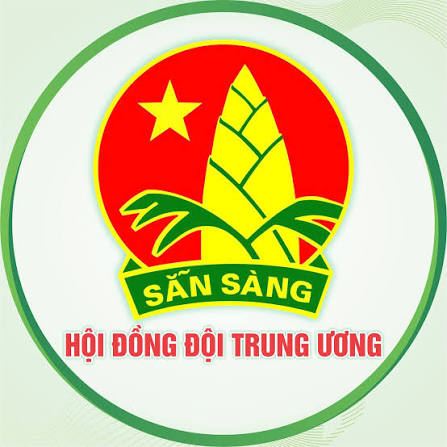 Hội đồng Đội Trung ương