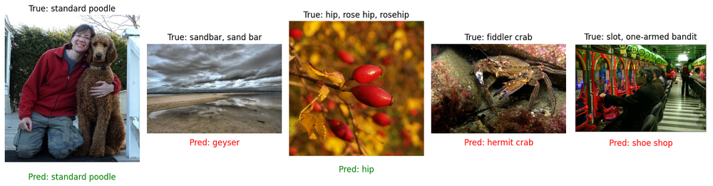 The base neural network predictions on the ImageNet test dataset. Ground truth labels are above the image, predictions are below (correct in green, incorrect in red).