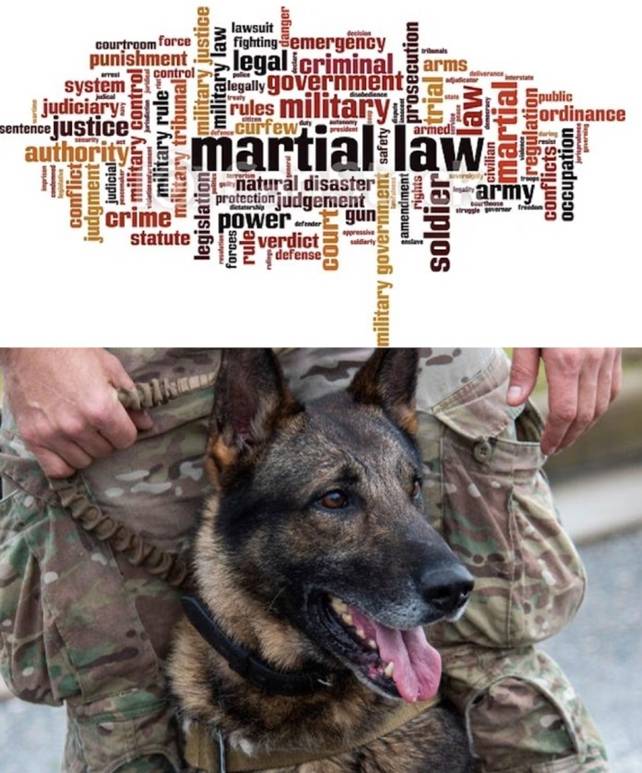 EBS、戒严令和一些新闻公告|Kat