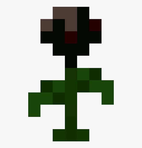 wither rose