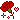 carnation1