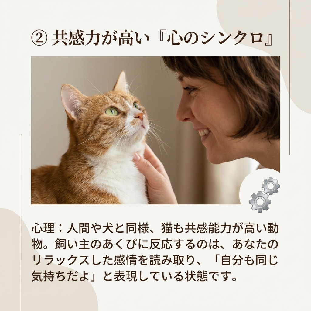 猫のあくびが伝染する理由とその愛情表現 - Image 4
