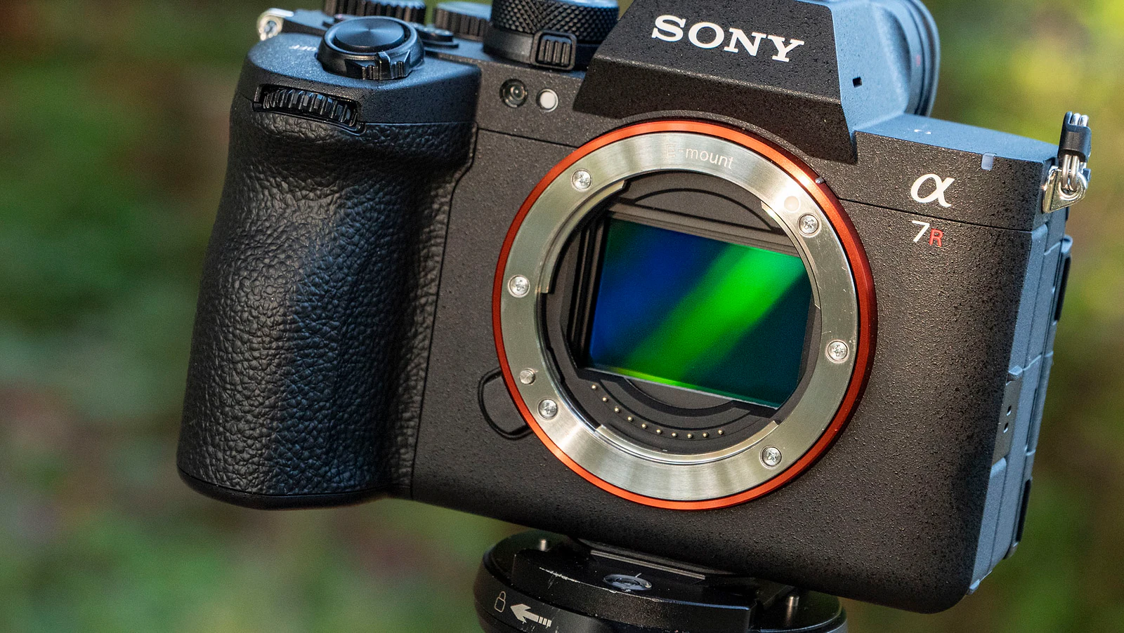 Sony A7R VI vs A7R V: 5 Nâng Cấp Biến A7R VI Thành Flagship Mới? - Hình 1