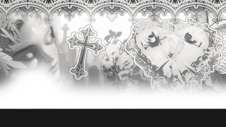 ⁰⁸ shadow-'s banner