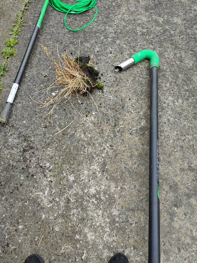 Moss scraped off a roof tile