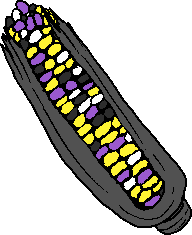 nonbinary flag colored corn on the cob