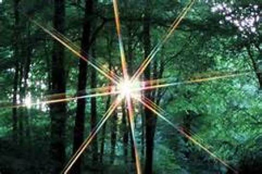 2021年9月20日:我不知道我们是否为即将到来的事情做好了准备|星际飞船地球