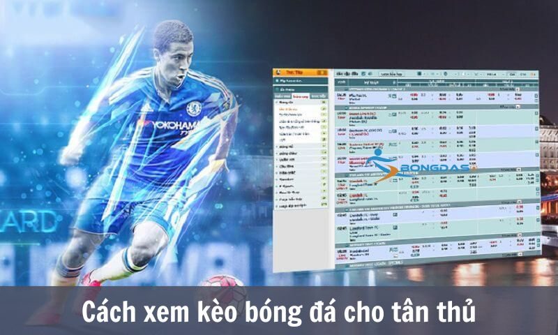 Tỷ Lệ K&egrave;o - C&aacute;ch xem k&egrave;o b&oacute;ng đ&aacute; cho t&acirc;n thủ