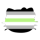 agender flag