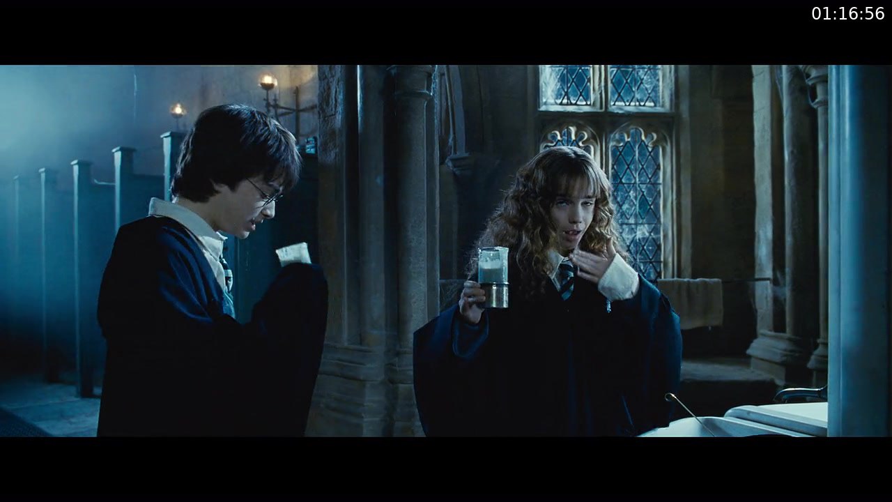 Harry Potter and the Chamber of Secrets screenshot
