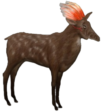Biography image
