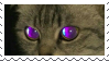 purple cat eyes
