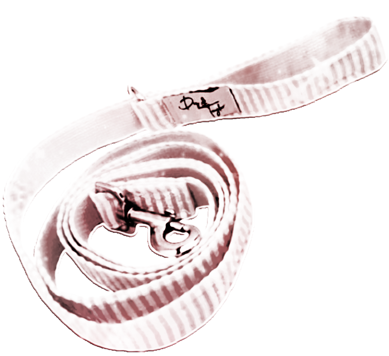 Dog Collar PNG. NF2U ♡