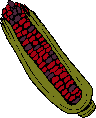 red corn on the cob