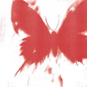 WHERE DID ALL THE BUTTERFLIES GO? album cover