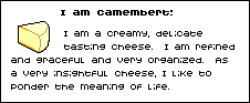 i am camembert!