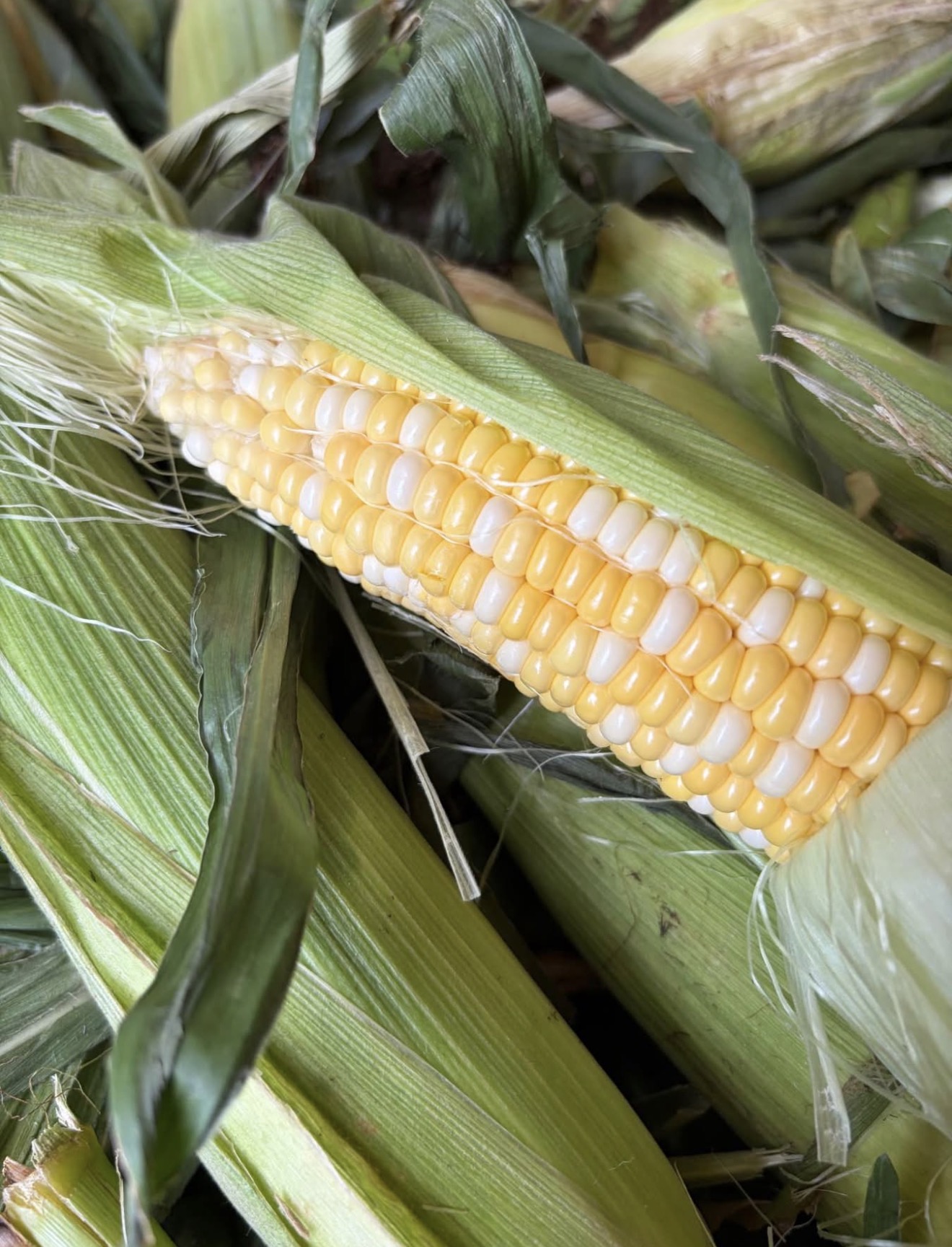 Always something new at DJ's Fresh Market farm stand, Appleton WI