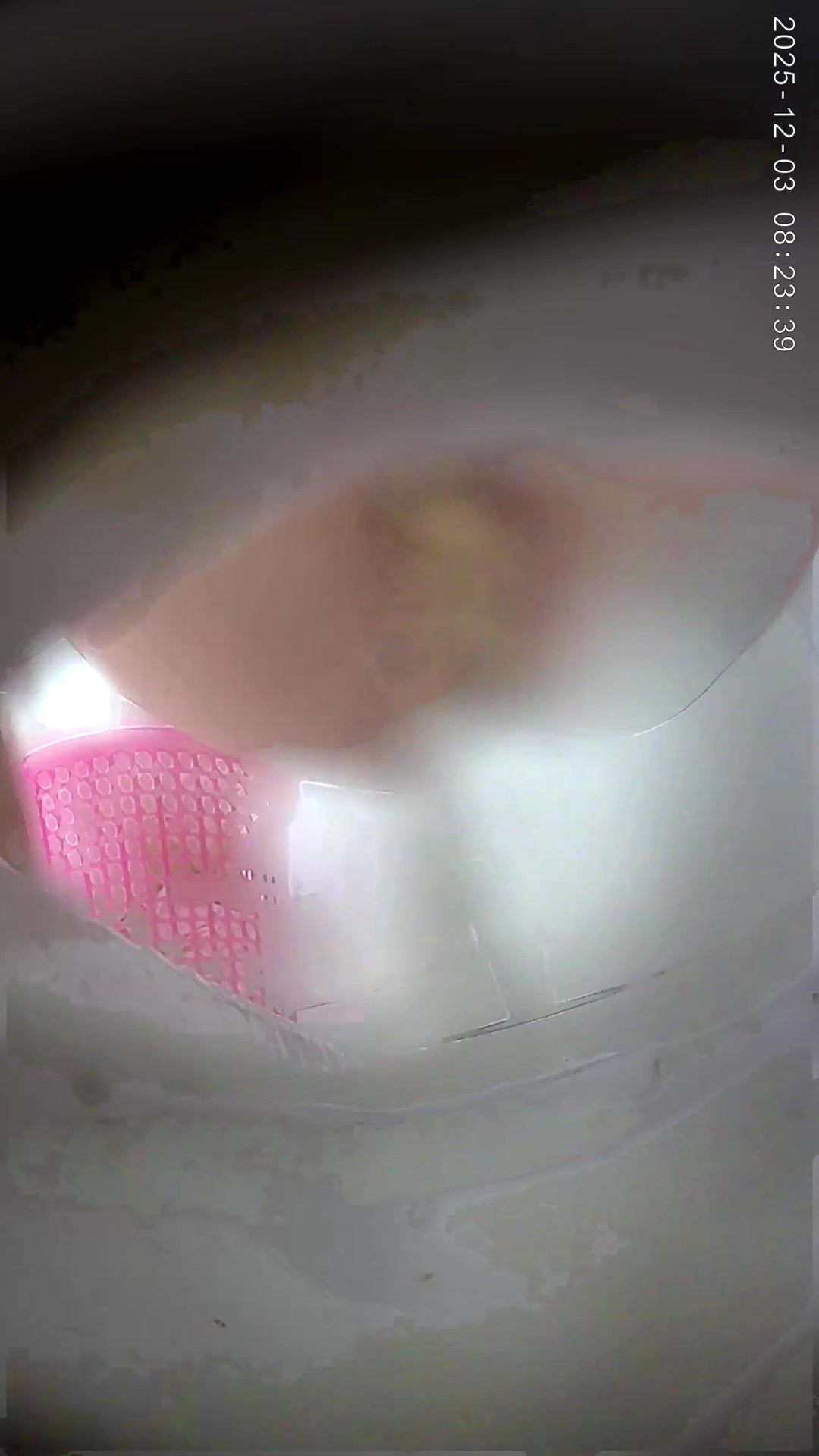 Toilet Spy — P0508(60) — screenshot 2