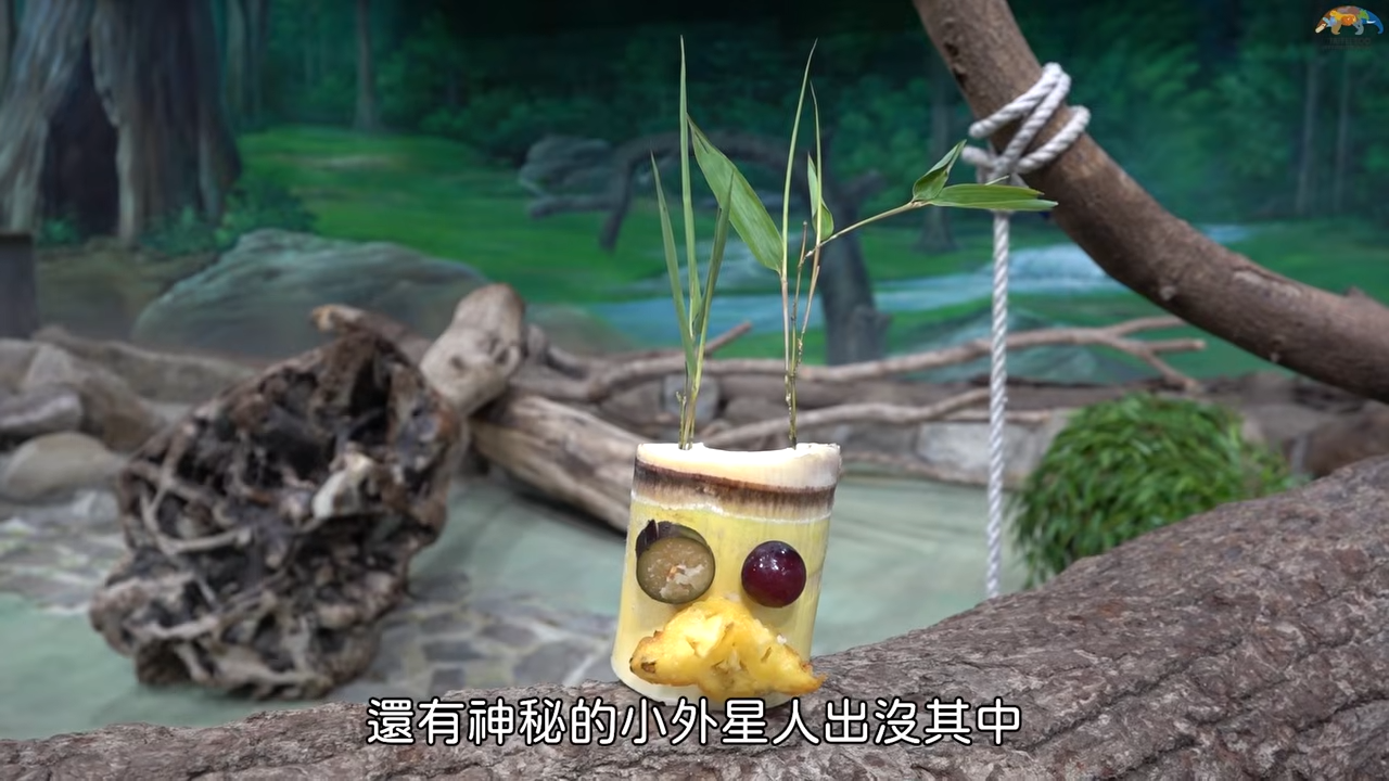 [問卦] 貓熊圓仔生日的外星玩偶食物可愛嗎?(發錢 - 八卦 - PTT.BEST 批踢踢爆文 2