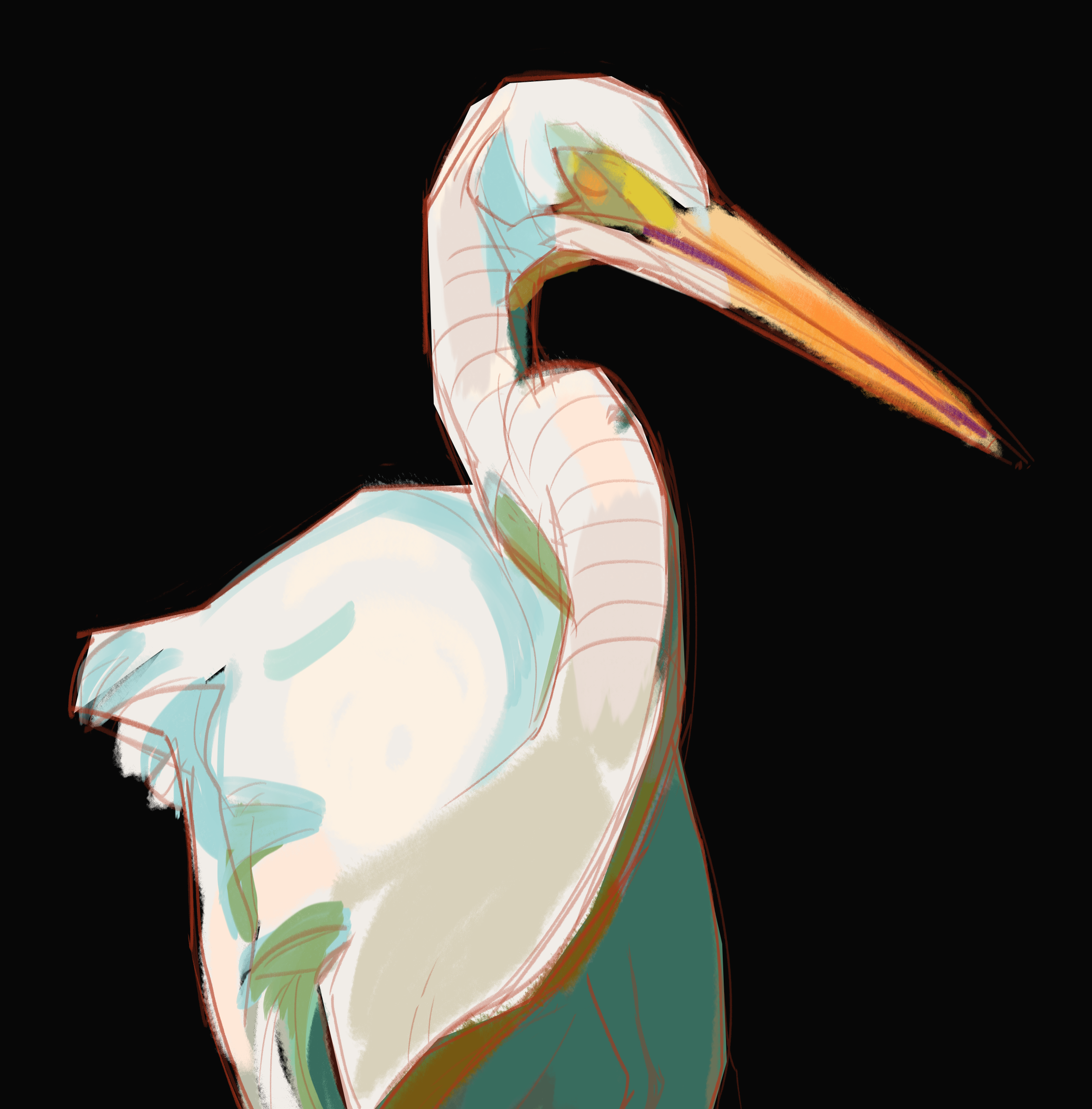 egret, process pic, October 2022