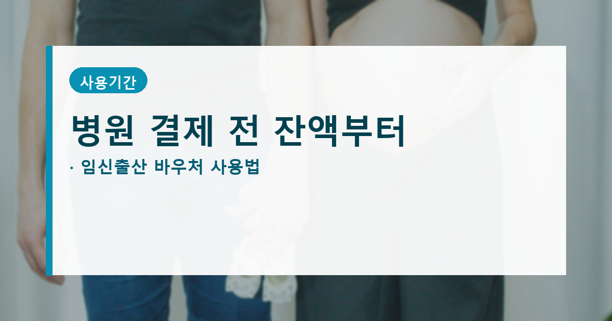 국민행복카드 임신출산 바우처 사용법과 잔액 소멸 안내 대표 이미지