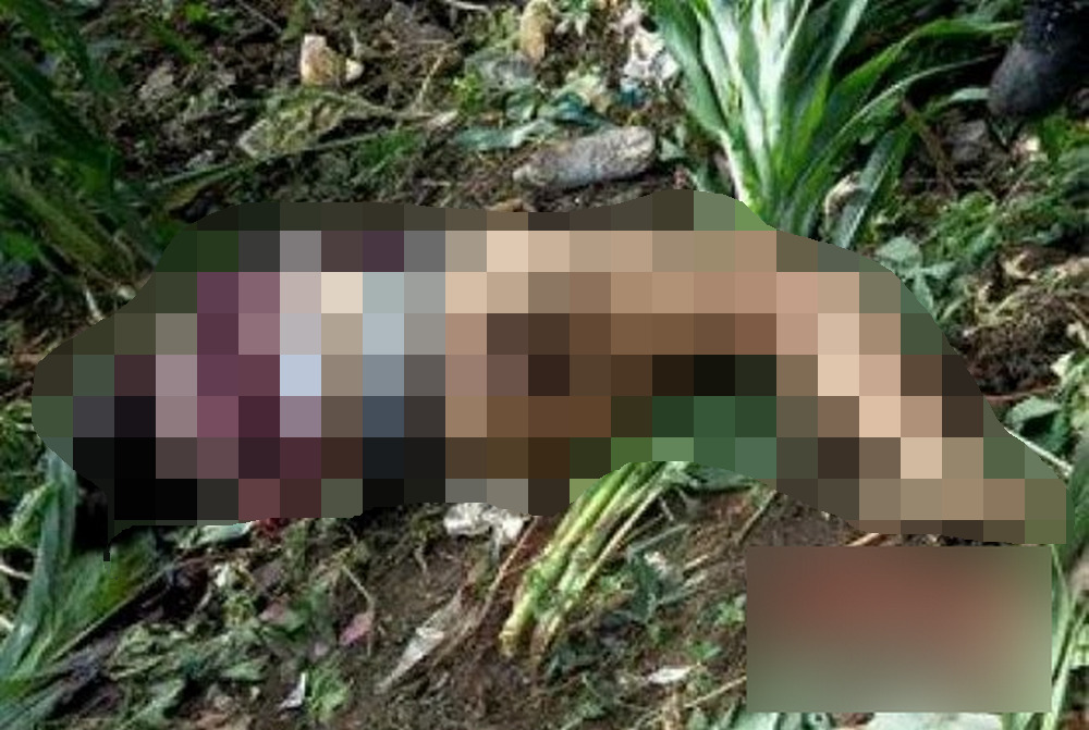 Hiện trường vụ việc