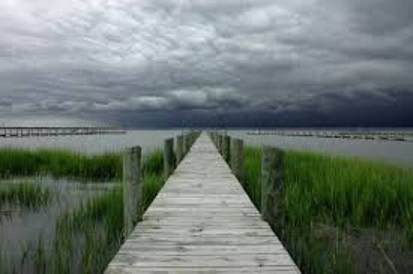 2021年9月12日星期日文摘: 对Woo的新看法|星际飞船地球