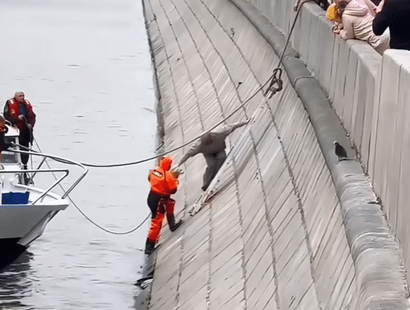 The rescue effort