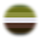mosscoric mosscoric