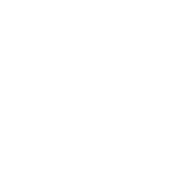 Back Arrow Icon