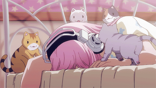 sonico