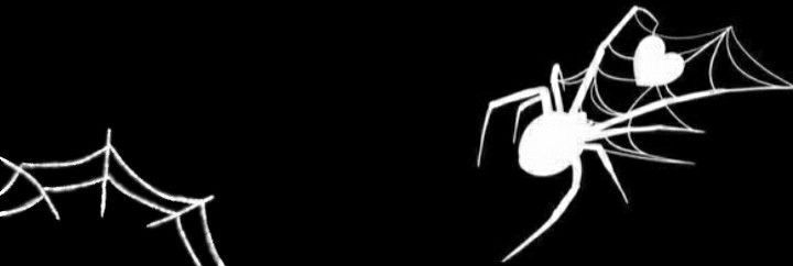aizawa's banner