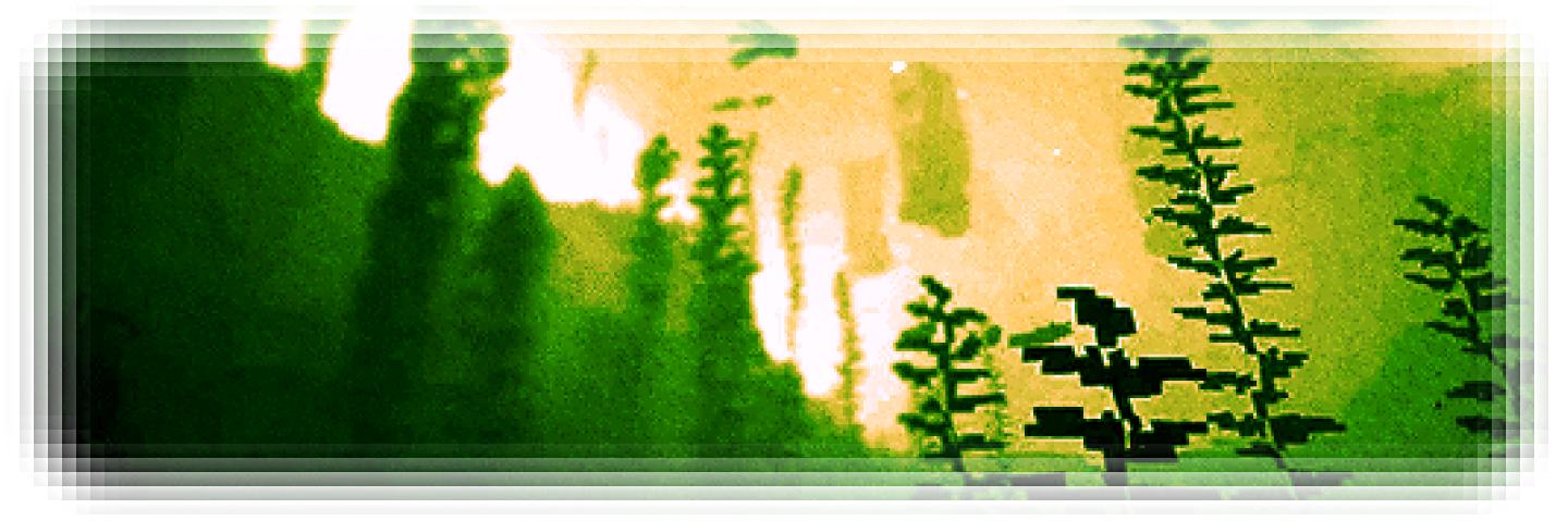 bloodriver's banner