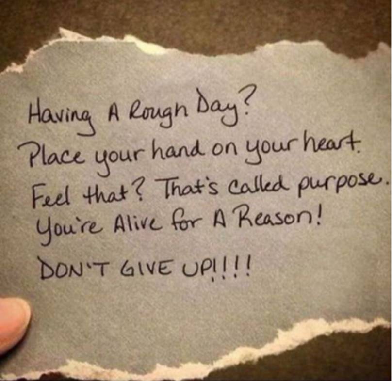 食物短缺|星际之门通讯