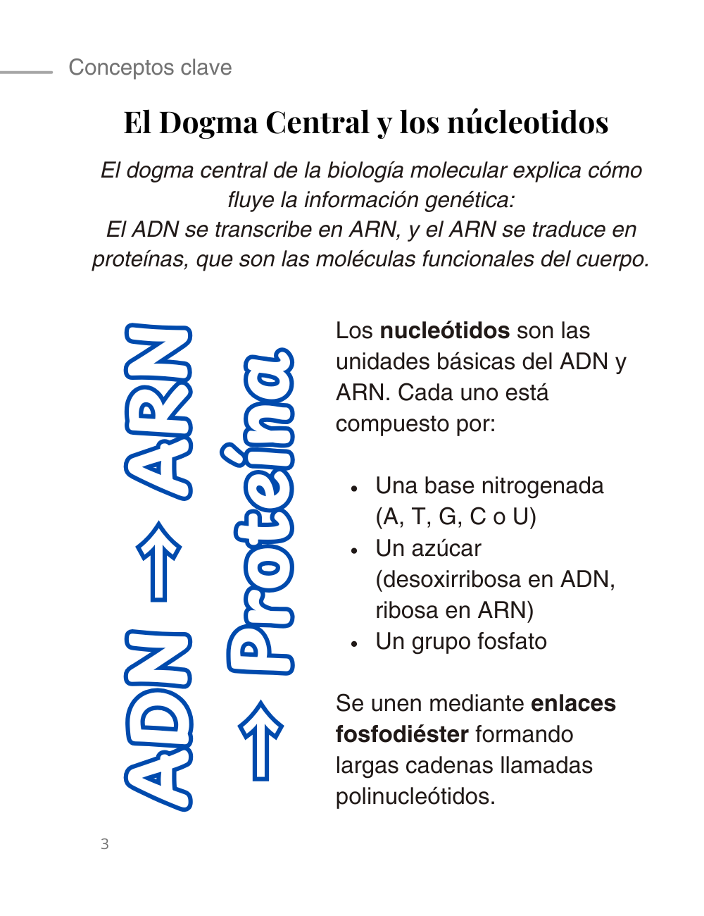 Página 3