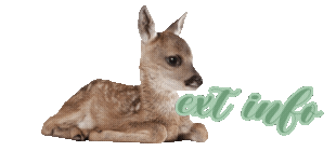 deer sat down with the text "ext info" floating behind