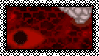petrapixel