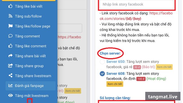 Dịch vụ tăng view Facebook tại Tangmat.live