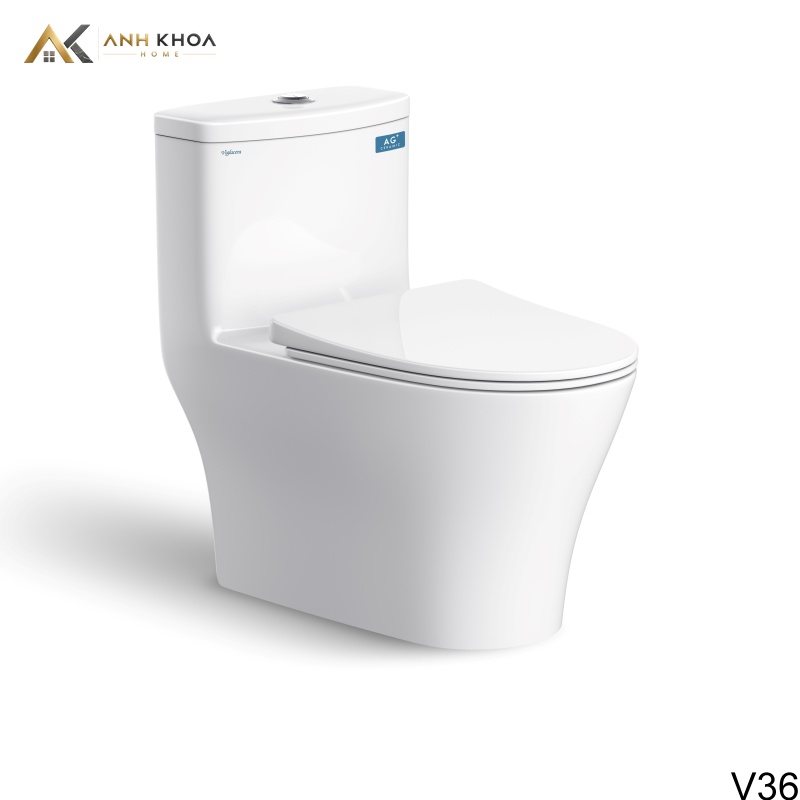 bon cau viglacera V36 (Bet)