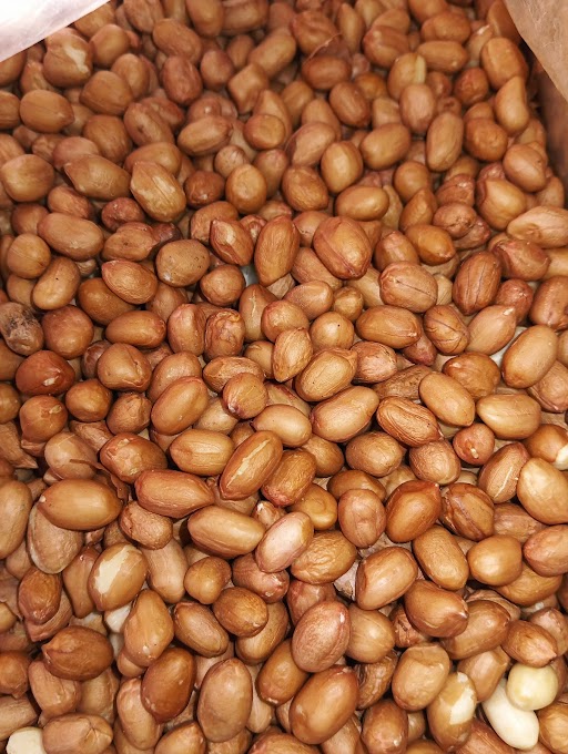 Singdana
