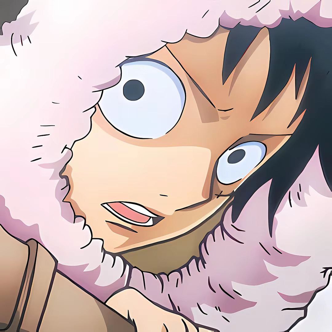 Anime boy luffy one piece