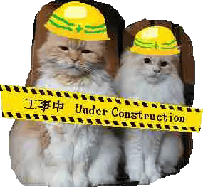construction cats