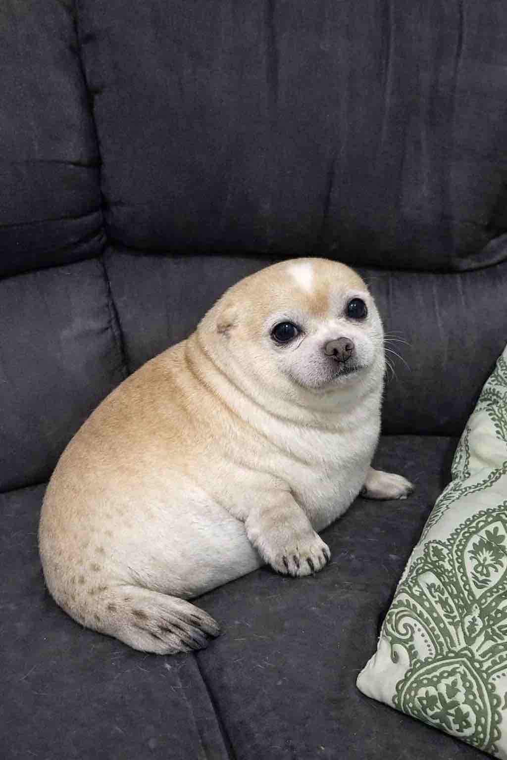 [閒聊] 鐵道的特殊能量條角色們（內鬼 - 希洽 - PTT.BEST 批踢踢爆文 3