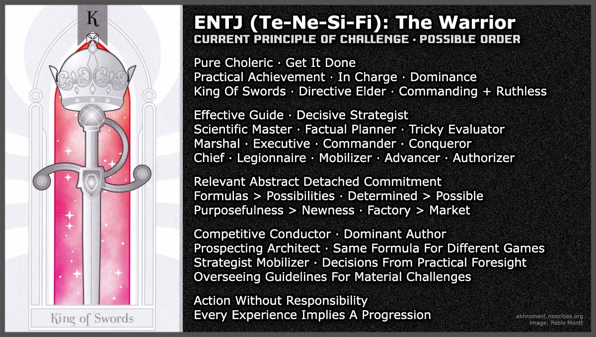 ENTJ (Te-Ne-Si-Fi)