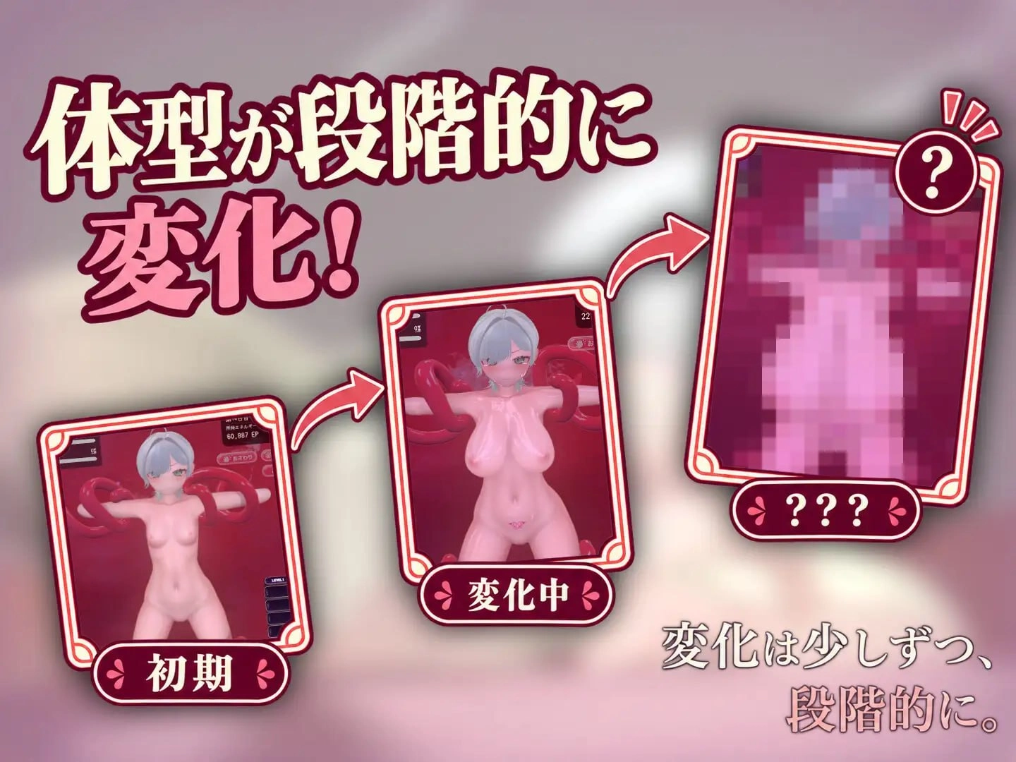 第 2 项
